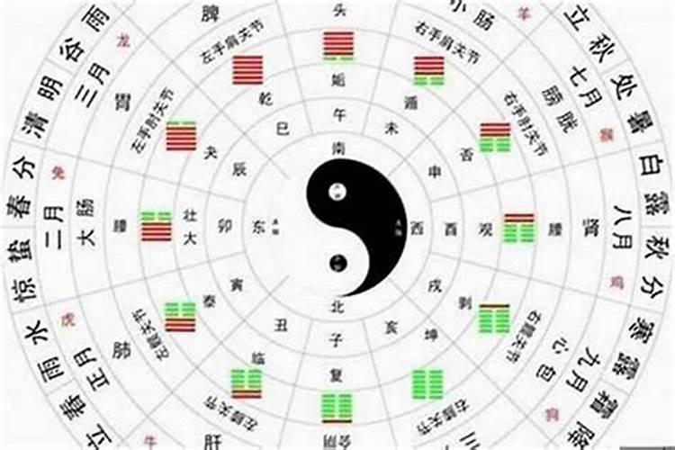 属蛇、属猪、属虎、属猴的人在2025年具体的运势