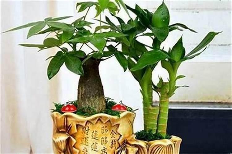 如何旺文昌