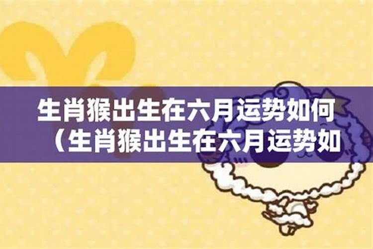 属猴2024年每月运势及