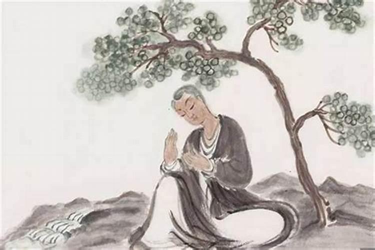 我老公属鸡81年腊月,我属虎86年6月 我们想要个属龙的宝宝好不好...