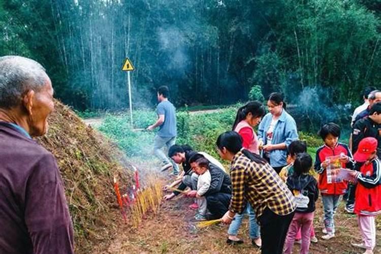属相相克属猪和属小龙是否好