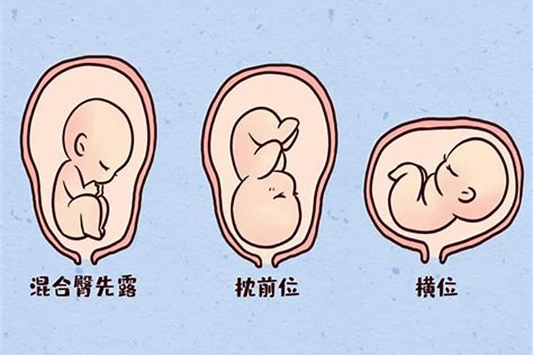 2025年属羊人多大了
