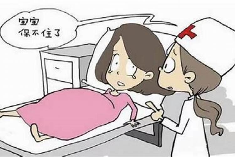 属虎本命年前一年倒霉 度过前一年本命年转运？