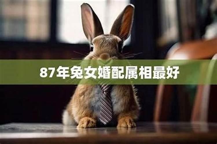 做梦梦见男友出轨