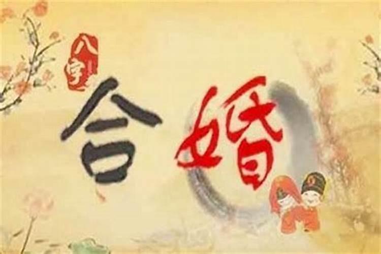 1987年正月初二出生属什么星座