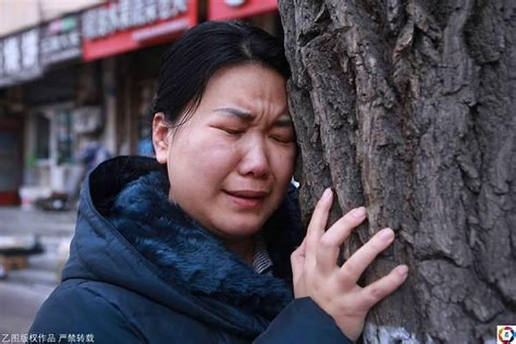 属鼠人的婚姻与命运,一生命运如何