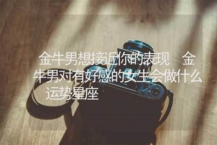金牛男痴迷哪种女人