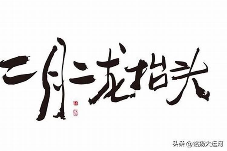 1988年属龙人2025年运势运程