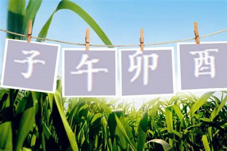 1988年属龙人2024年运势运程每月运程