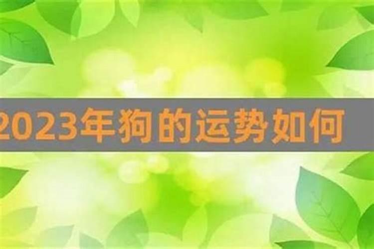 70年属狗女2025年运势及运程每月运程
