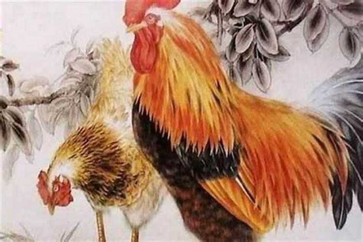 补财库一般多少人民币
