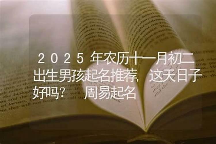 2025属狗每月运势运程详解是怎样的