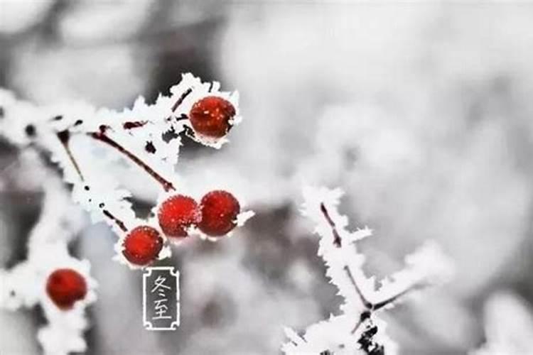 冬至后,数九寒天,养生须谨记“5事不做,4物不吃”,健康过冬