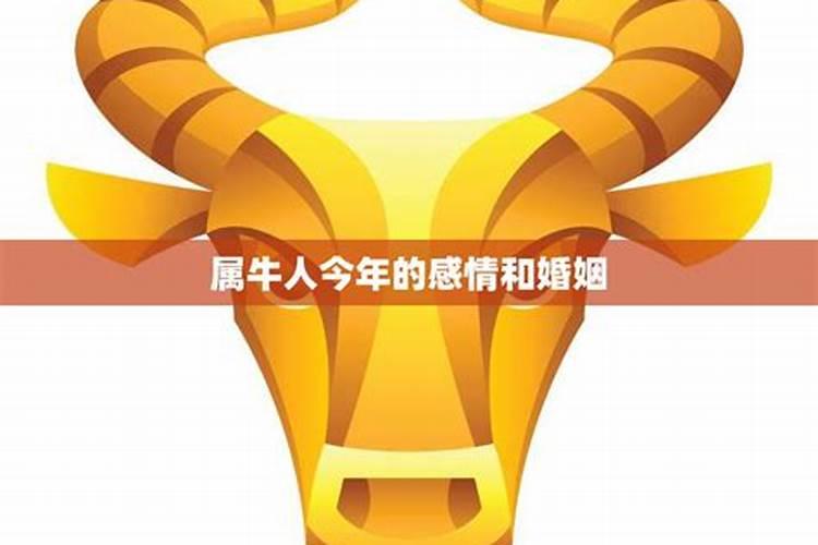 梦见老婆怀孕了是什么预兆