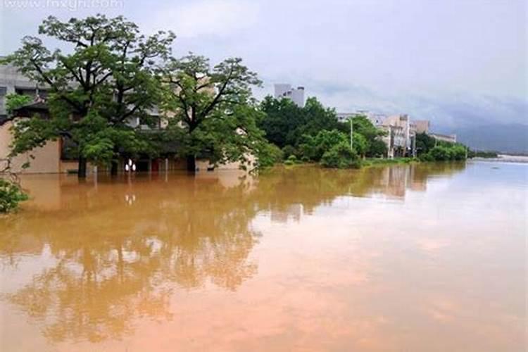 流年19分别代表什么