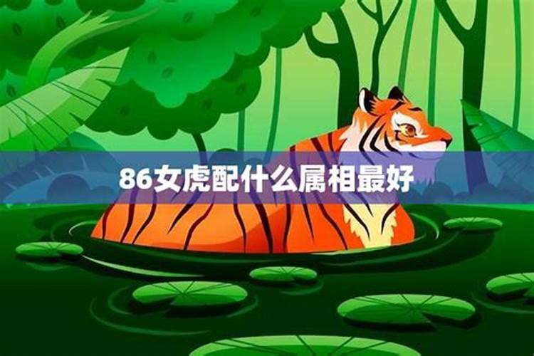 属虎女和什么属相最好