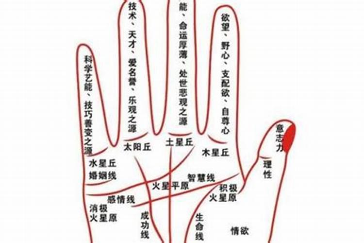 盲派命理准确断结婚流年,盲派命理界是怎么断婚期的？