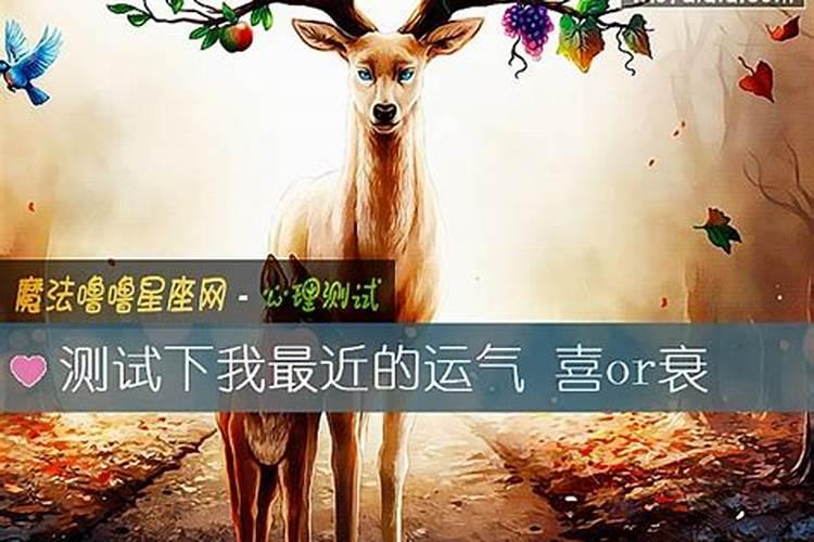 心理测试测你哪方面运气最好