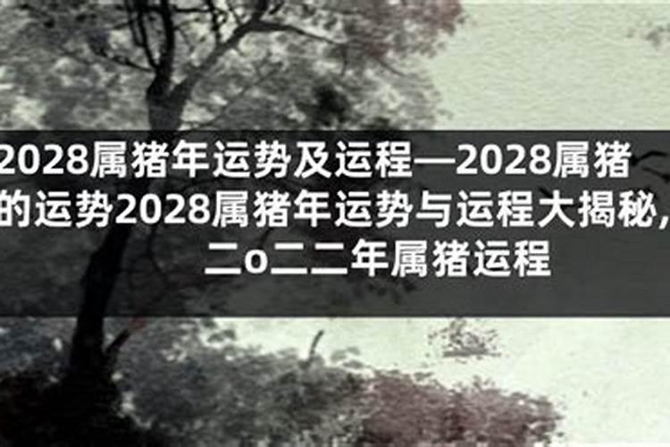 2002年属什么生肖？