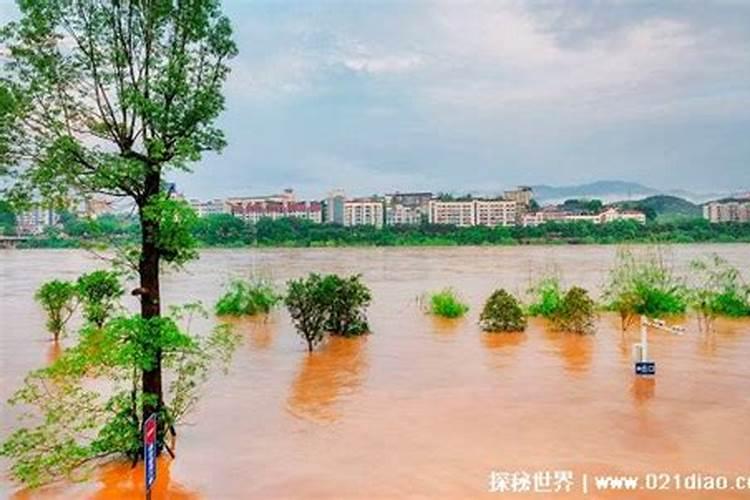 梦见大水滚滚而来什么意思