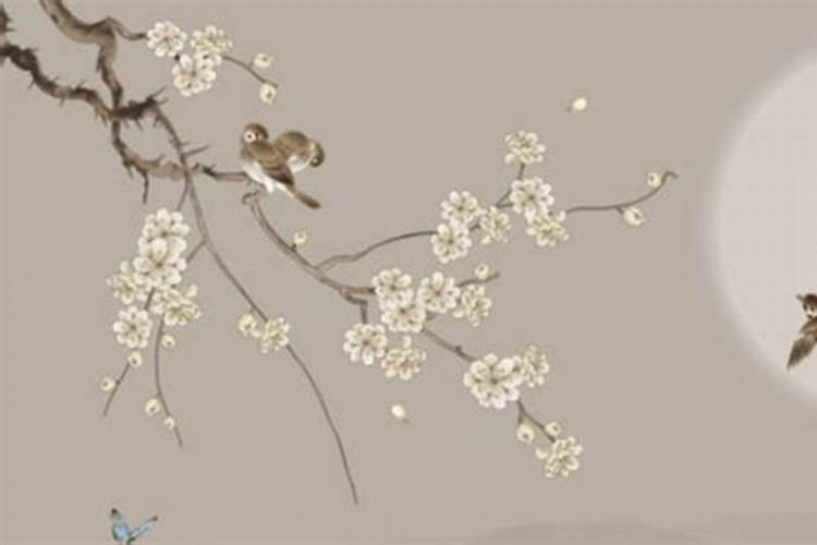属狗人哪年财运最旺 虎年是六合之年？