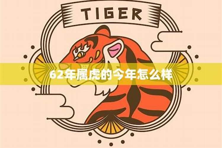 62年属虎未来三年2024到2026运势好吗