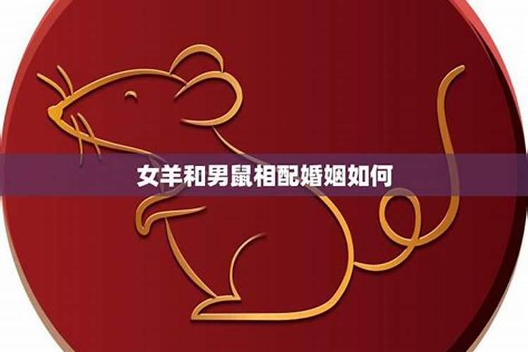 属相,属鼠的和属羊的真的不能在一起吗？