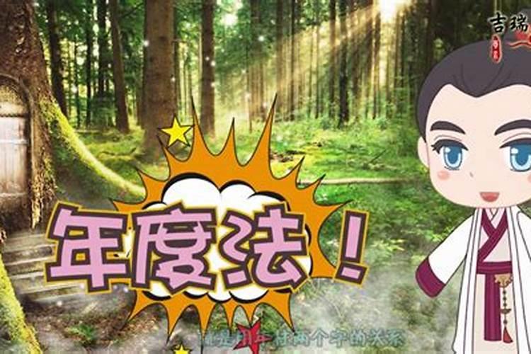 51年兔今年有灾难吗