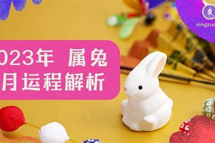 2024年属兔7月应对各种挑战