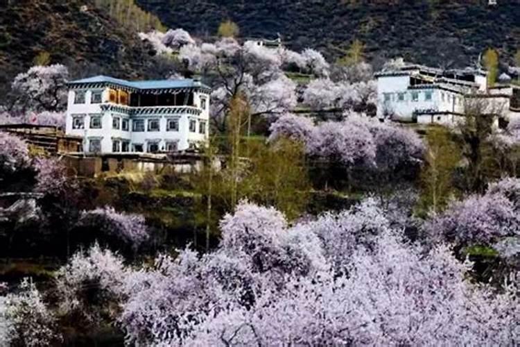 清明扫墓祭扫寄语 祭扫文明寄语
