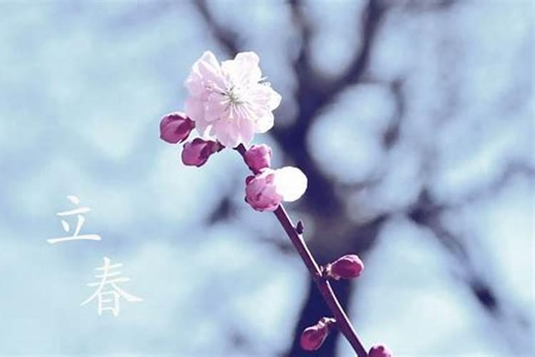 2015年的公祭黄帝陵的祭文在哪