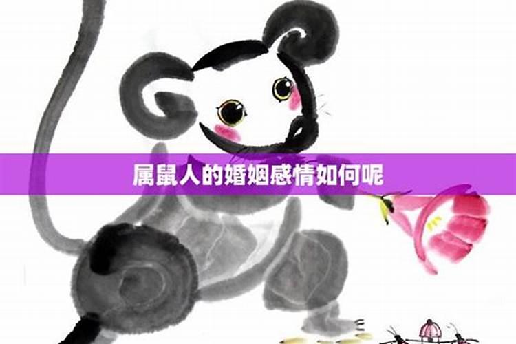 96年的鼠婚姻顺不顺利