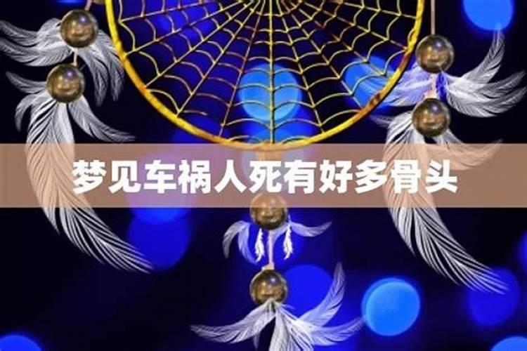 2025年十二生肖每月运势详解