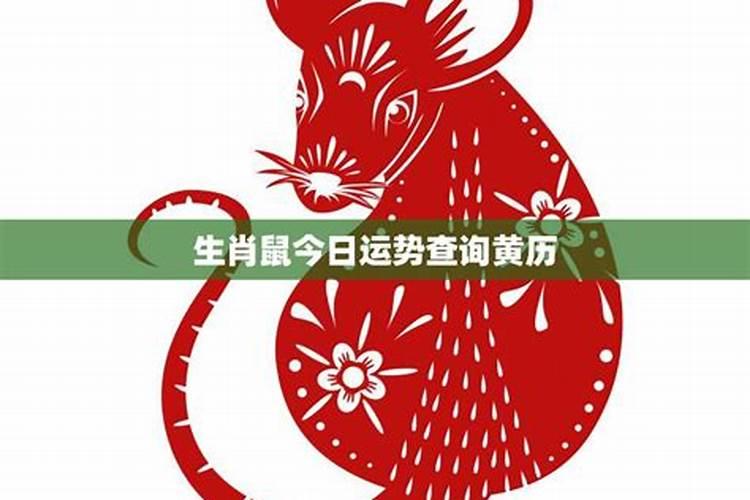 84年属鼠本命年注意一些什么,1984年属鼠2022 年佩戴什么