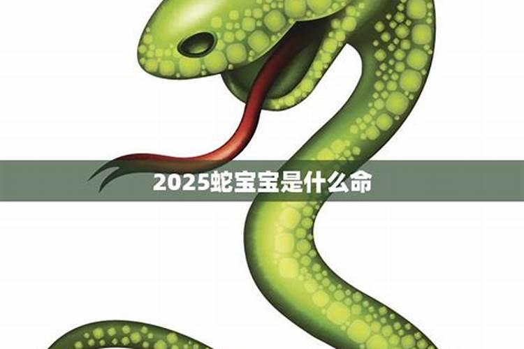 2025年正月蛇宝宝好吗