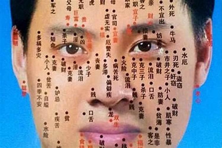猪年分别是哪几年