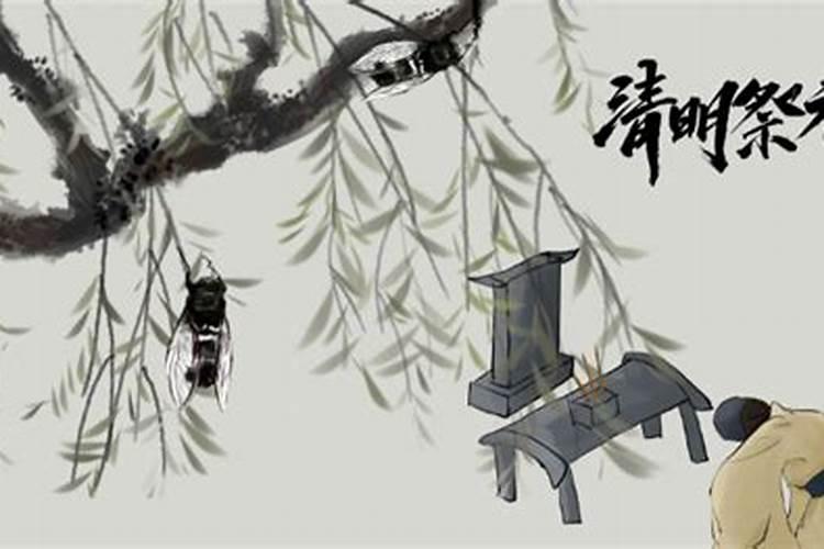 清明前后能剪头发吗清明前后有什么忌讳