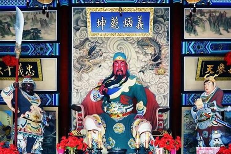 属兔的人2025年每月运势及运程详解