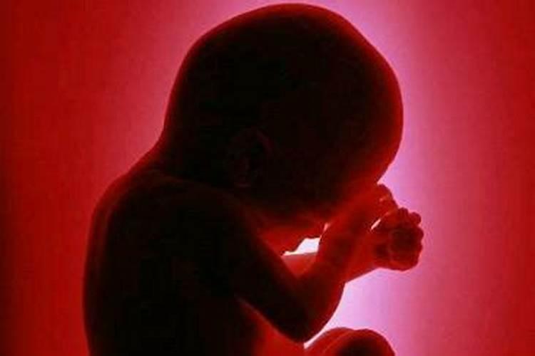 三月九号做的无痛人流,那会40天,一个月后发现自己还是老吐一检查孩子...
