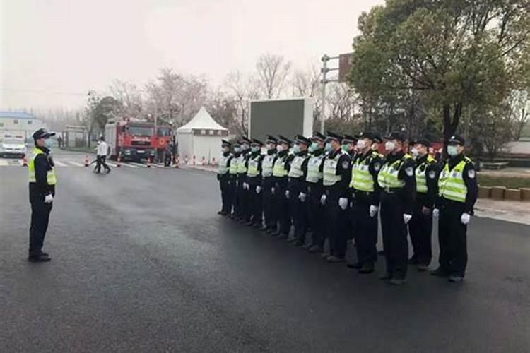 属羊人2025年全年运势运程详解