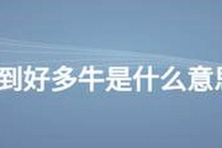 梦到好多牛是什么意思啊