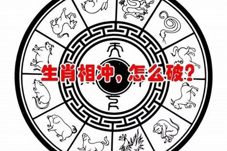 属相不合是针对夫妻还是儿女,怎么样说服丈母娘对于生肖不合的问题？!