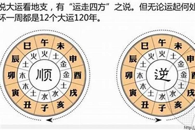 八字大运怎么排怎么查询自己的大运
