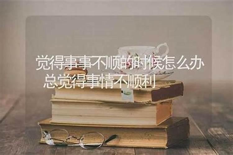 幸灾乐祸什么意思