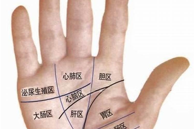什么生肖最旺腊月的羊