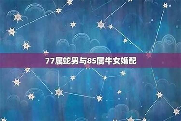 1977年属蛇男在2025年运程和运势