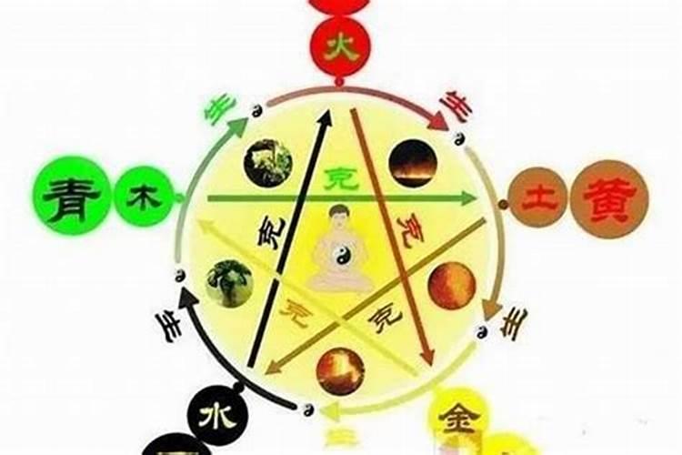 2024年1985属牛人的全年运势如何