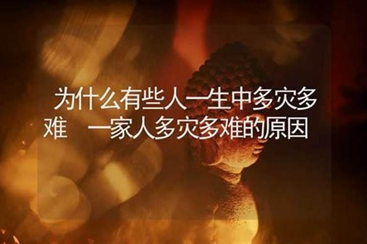 2025年属虎人的全年运势如何