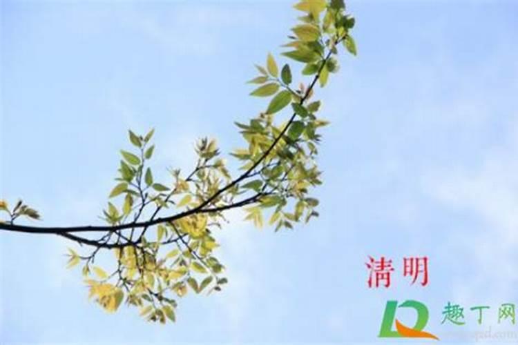 2025属牛今年有一难是什么 属牛2025年运势如何