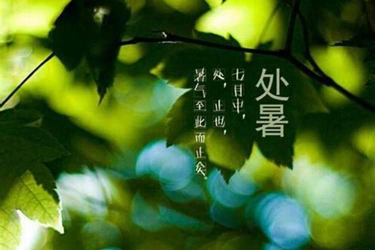 秋天的四个节气是哪四个